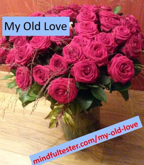 Red roses. Showing texts “My Old Love” and “mindfultester.com/my-old-love”!